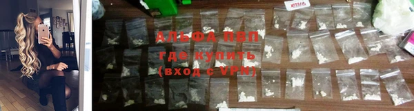 стафф Баксан