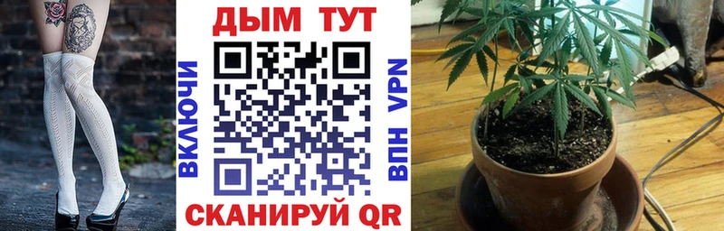 OMG сайт  Новотитаровская  Конопля план 
